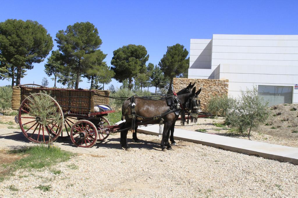 Luz De Alba Vila Argamasilla de Alba Exterior foto